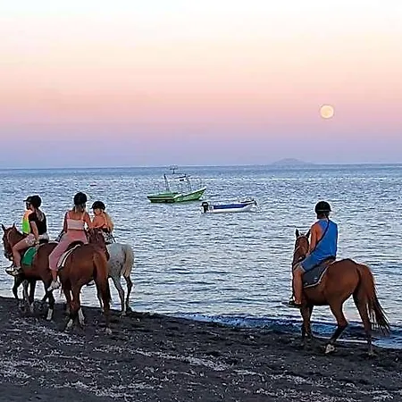 Отель Pleasure Beachside 3*